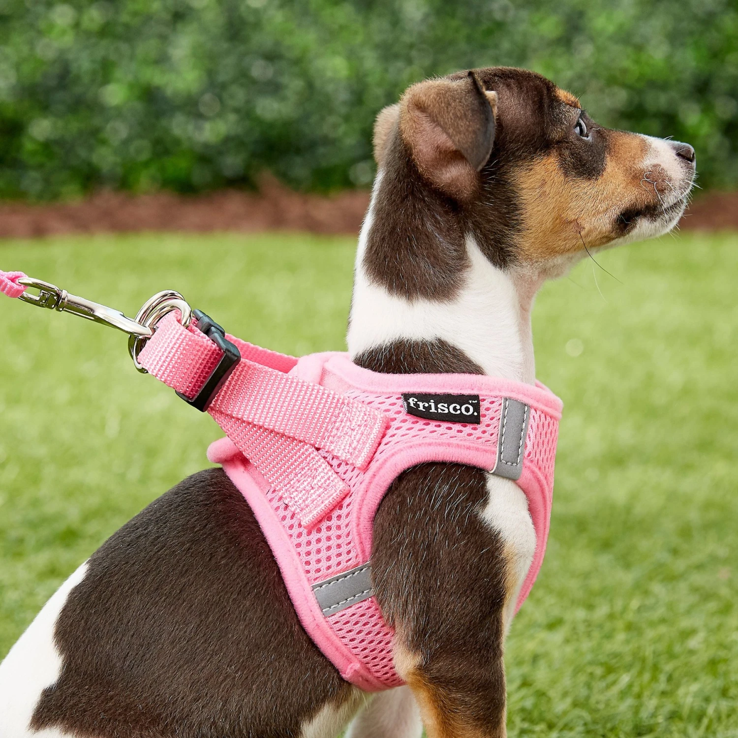 Frisco Small Breed Soft Vest Step In Back Clip Dog Harness - Image 6