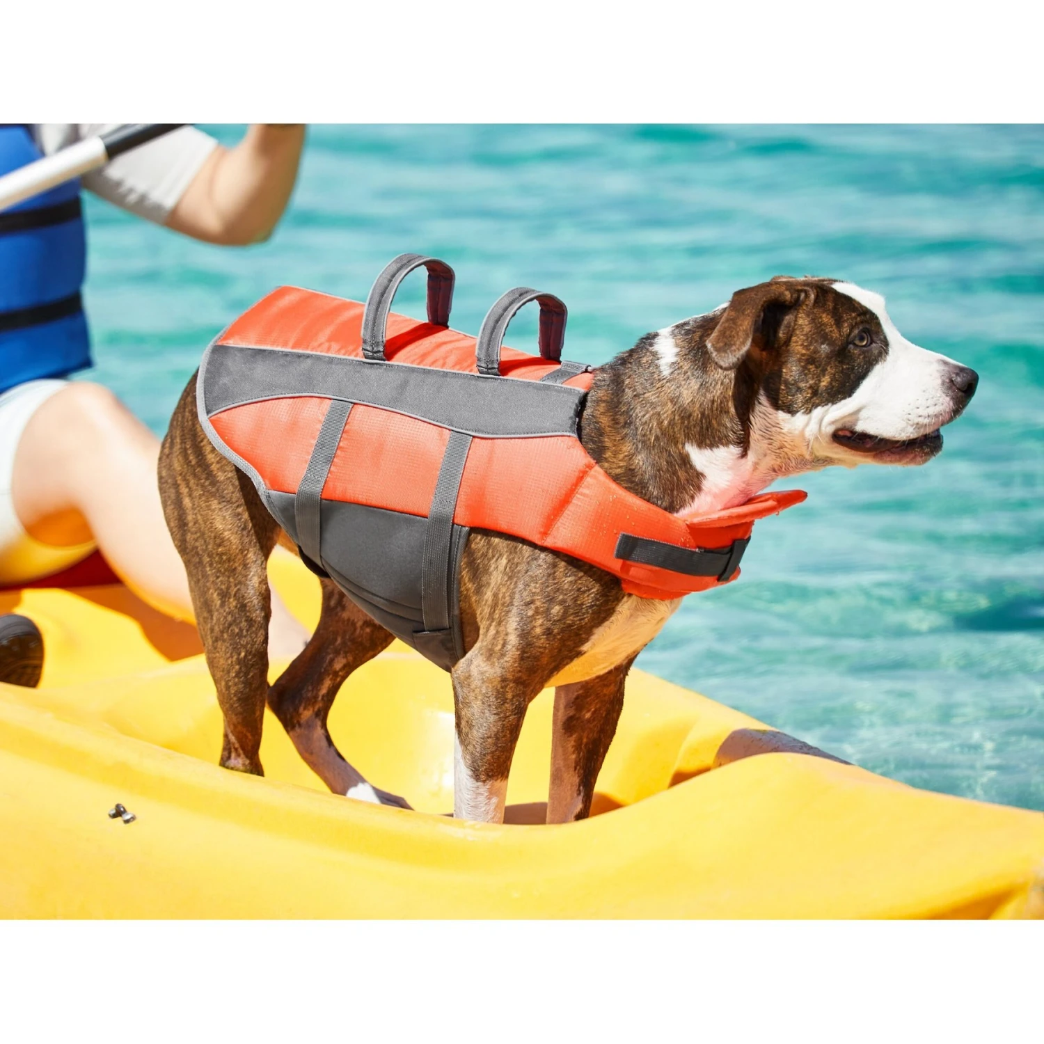 Frisco Ripstop Dog Life Jacket - Image 8