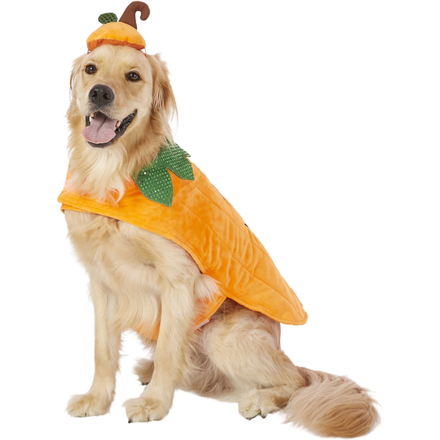 Frisco Pumpkin Dog & Cat Costume - Image 3