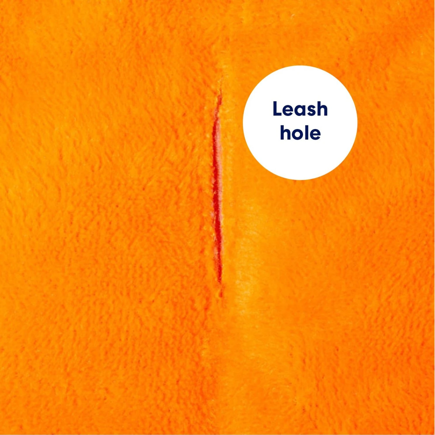 Frisco Pumpkin Dog & Cat Costume - Image 6