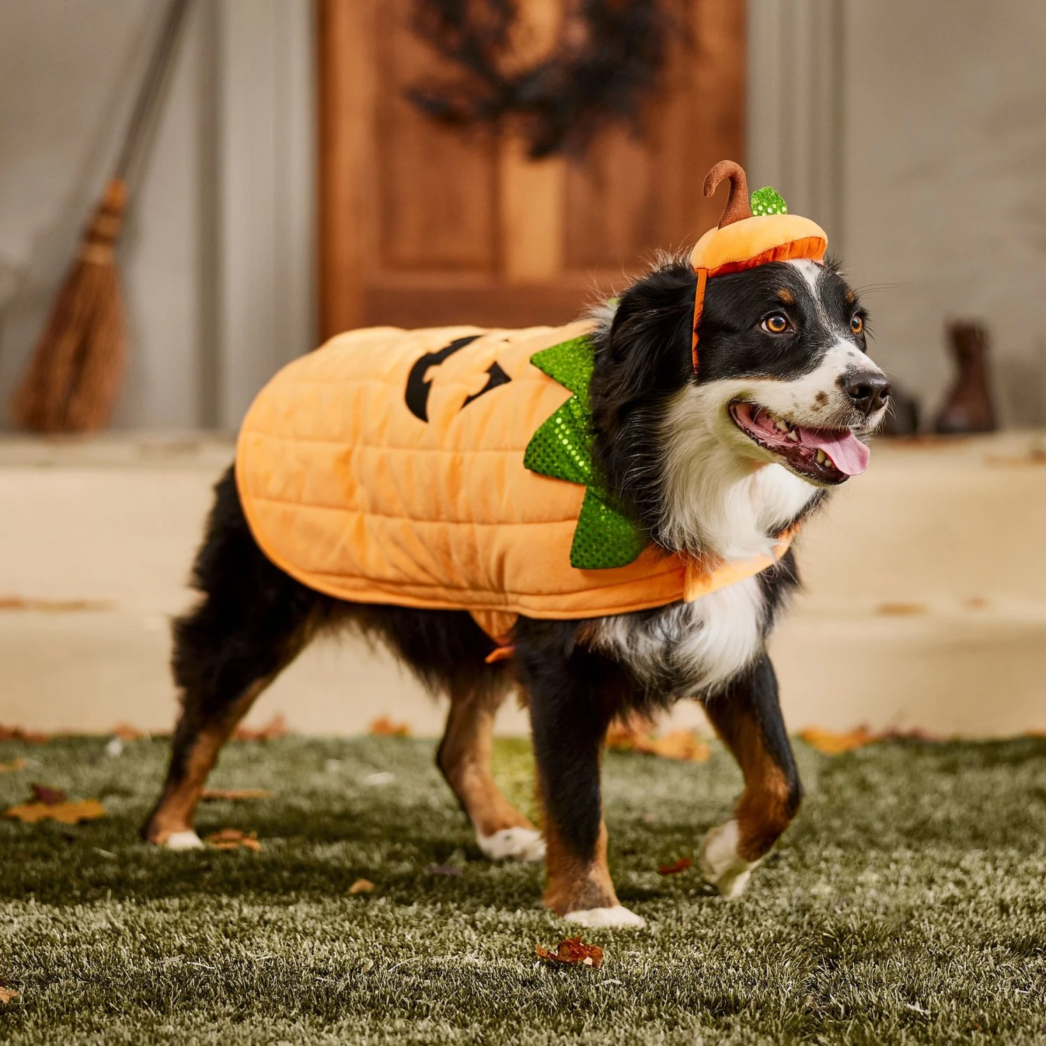 Frisco Pumpkin Dog & Cat Costume - Image 8