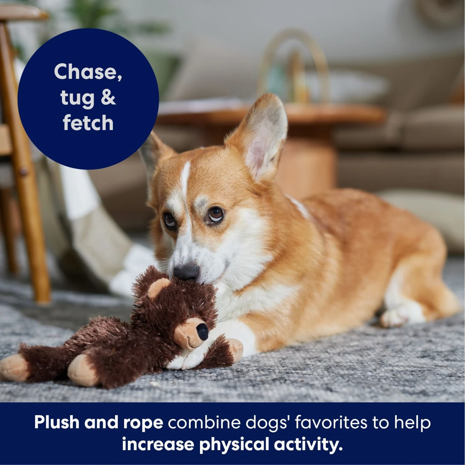 Frisco Bear Plush With Inside Rope Squeaky Dog Toy - Image 5