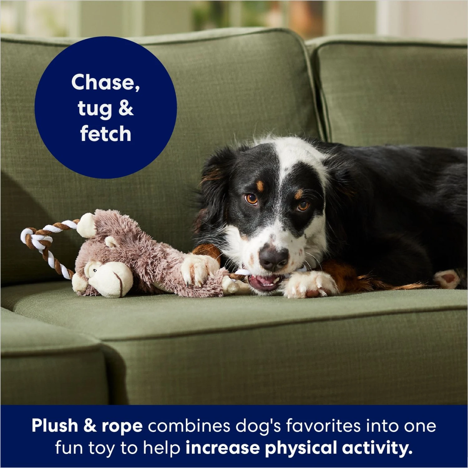 Frisco Monkey Plush With Rope Squeaky Dog Toy - Image 4