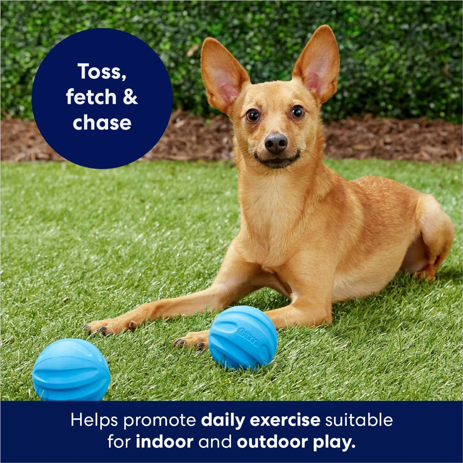Frisco Foam Rubber Floating Fetch Ball No Squeak Dog Toy - Image 5