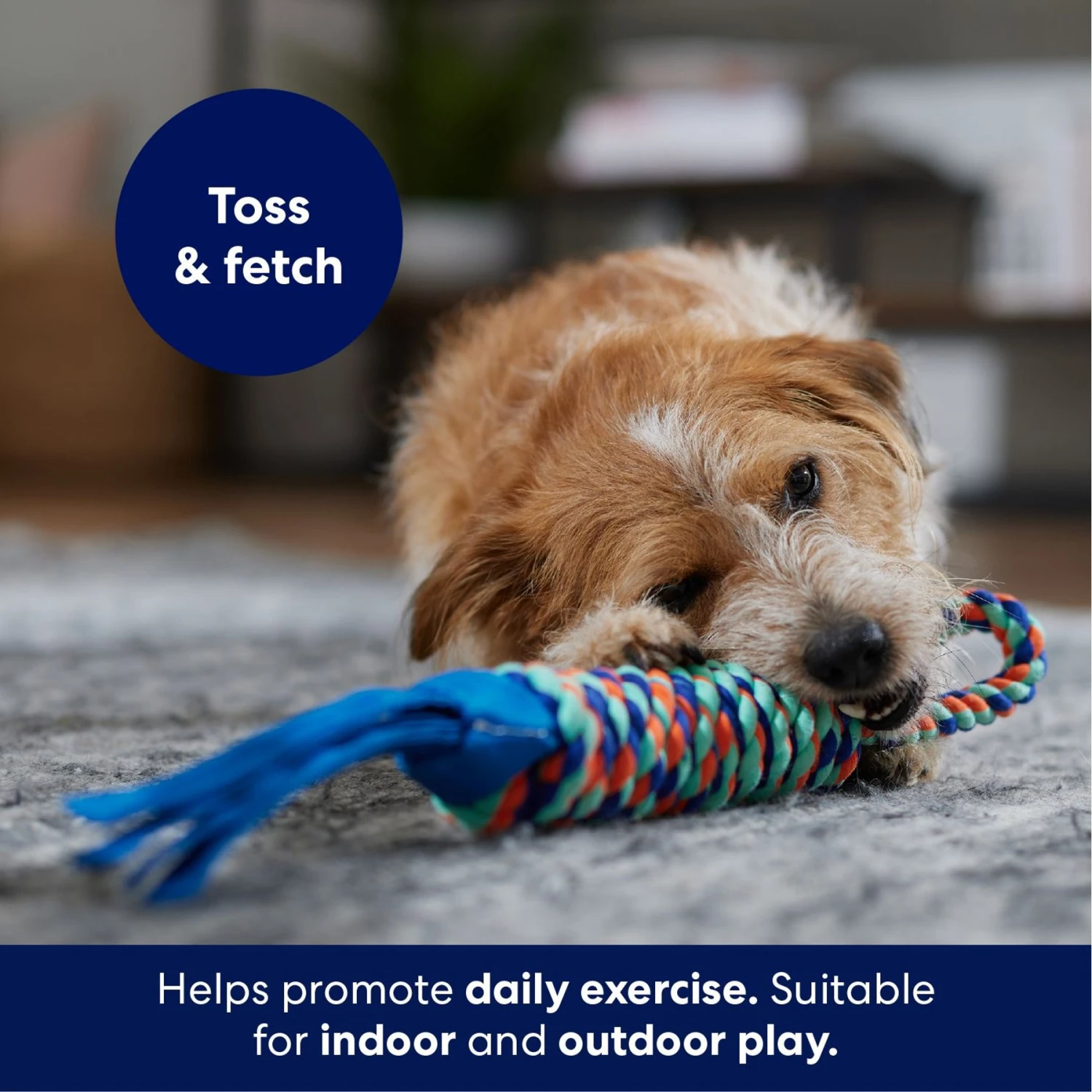 Frisco Rope With Handle & Tassels Dog Toy - Image 3