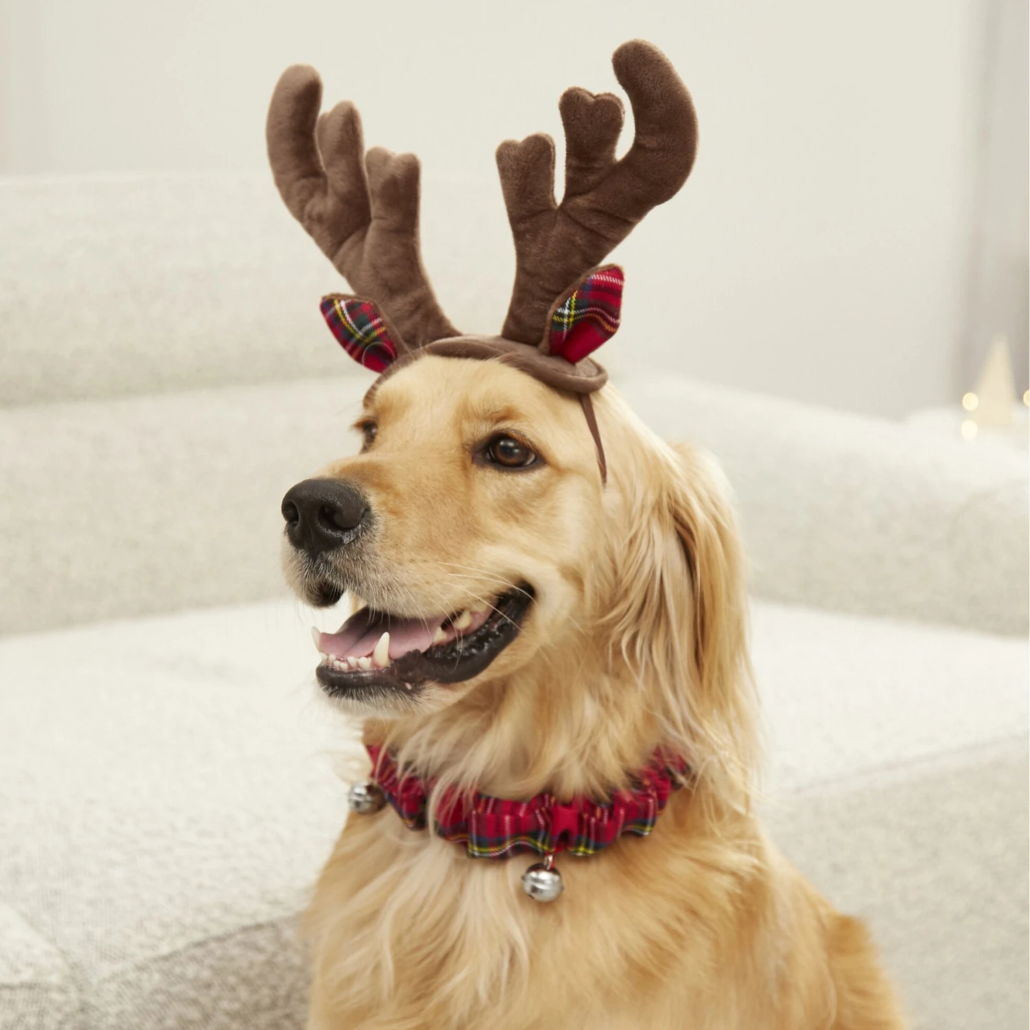 Frisco Holiday Antler Headband & Bell Collar Dog & Cat Costume - Image 4