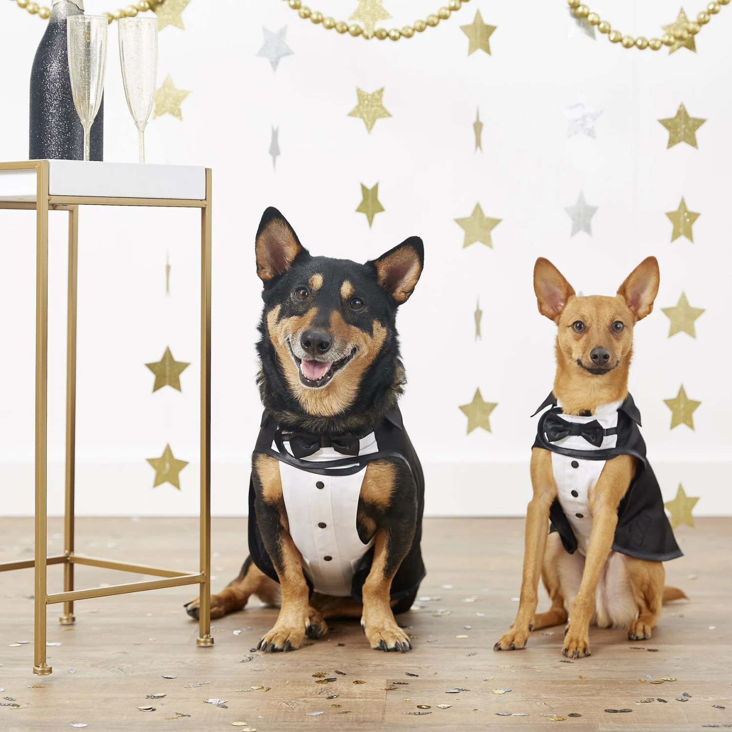 Frisco Formal Dog & Cat Tuxedo, Black - Image 3