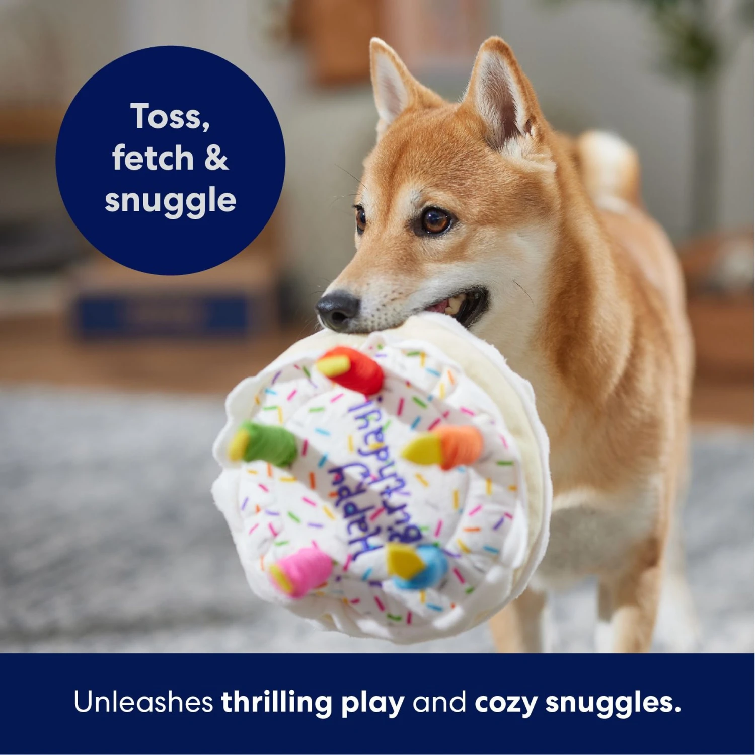 Frisco Birthday Cake Plush Squeaky Dog Toy - Image 5