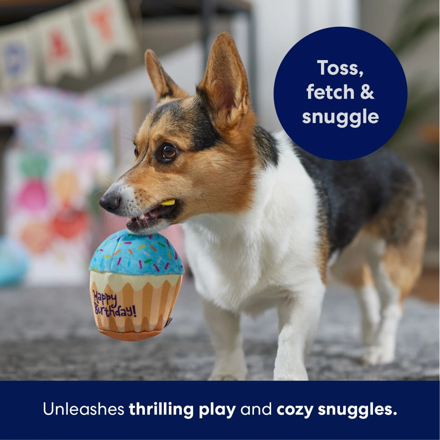Frisco Birthday Cupcake Plush Squeaky Dog Toy - Image 5