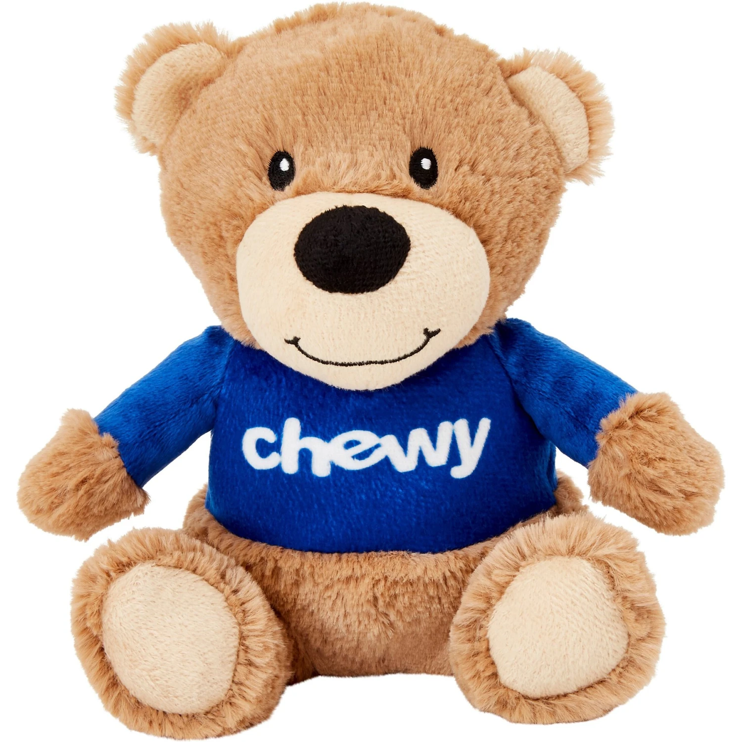 Frisco Chewy Bear Plush Squeaky Dog Toy