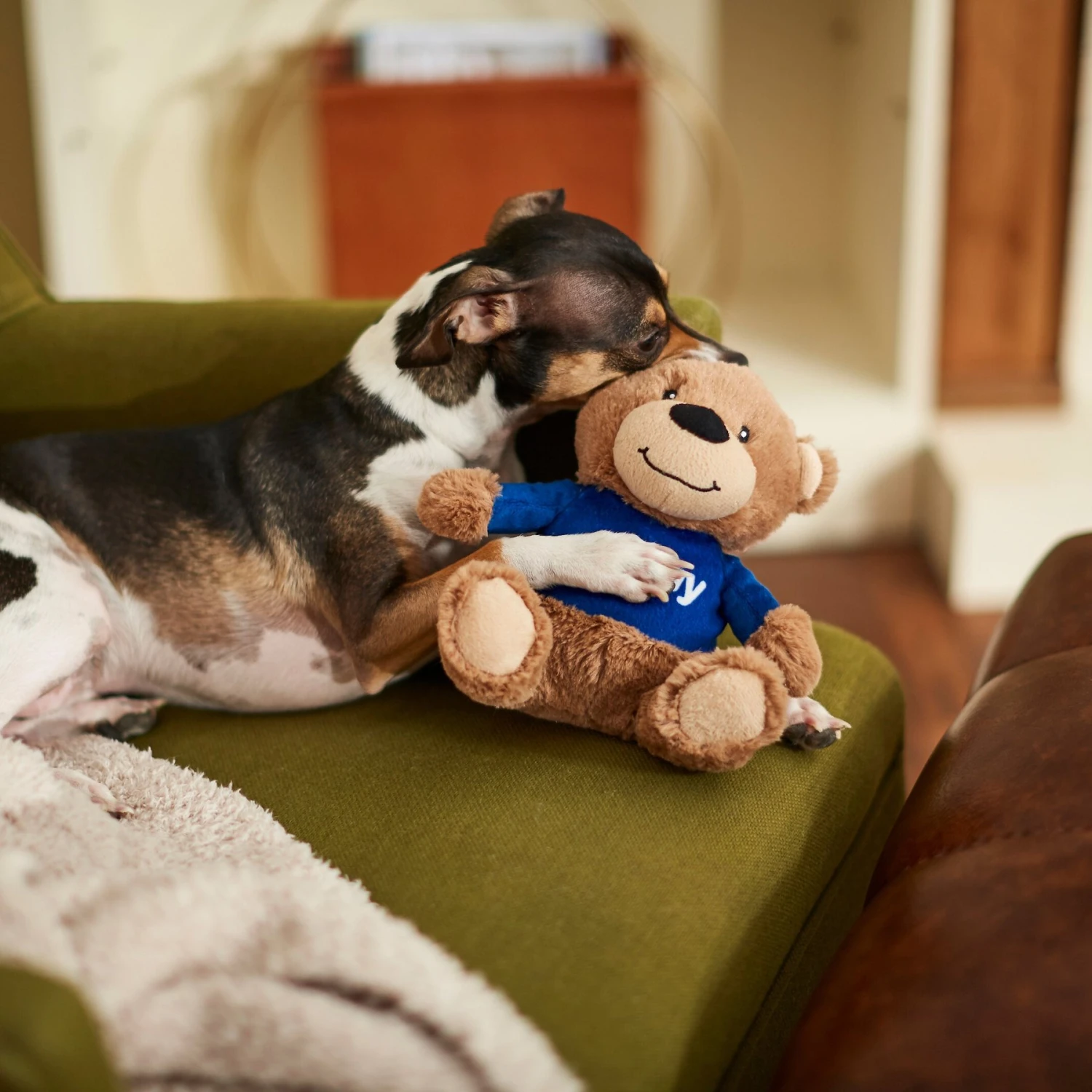 Frisco Chewy Bear Plush Squeaky Dog Toy - Image 3