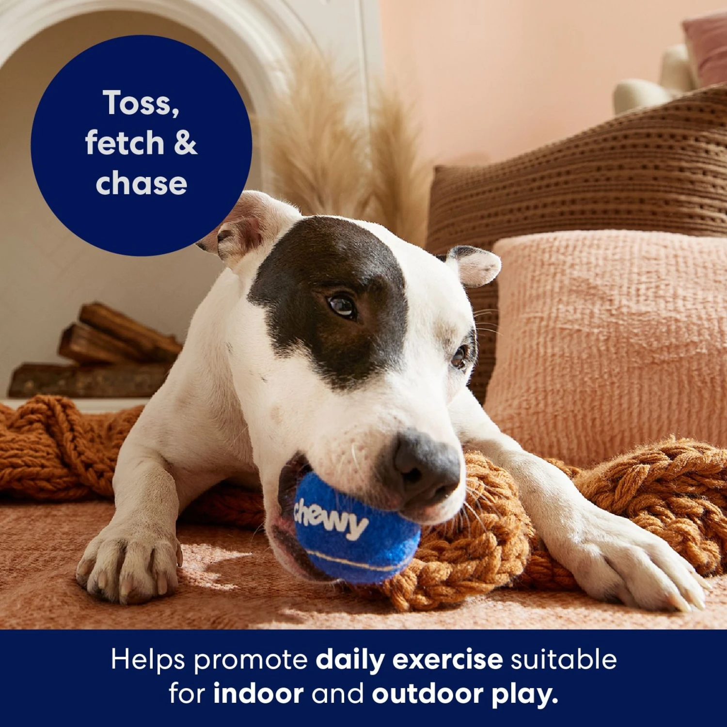 Frisco Chewy Fetch Squeaky Tennis Ball Dog Toy - Image 5