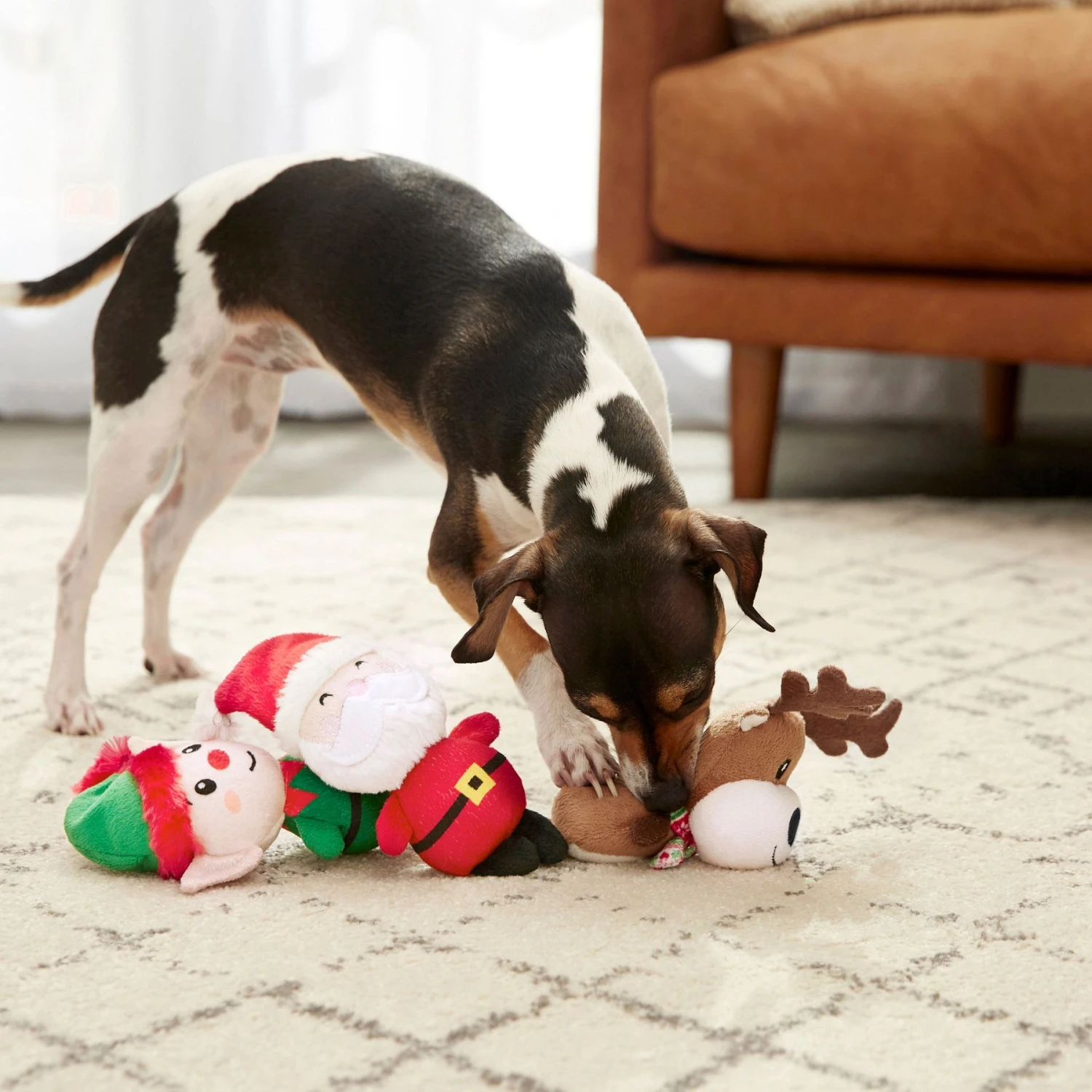 Frisco Holiday Santa's Helpers Plush Squeaky Dog Toy, 3 Count - Image 3