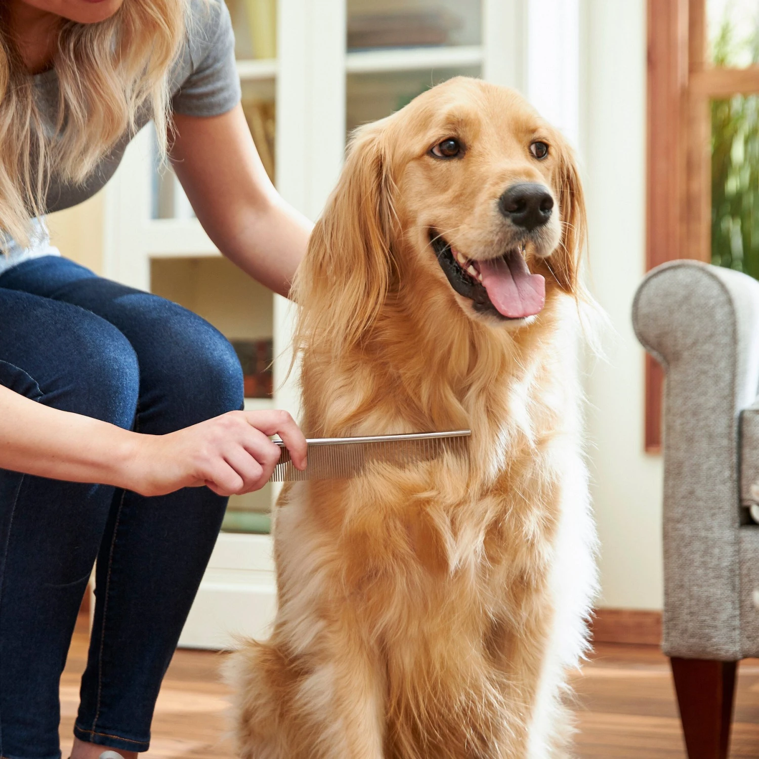 Frisco Metal Dog & Cat Comb - Image 3