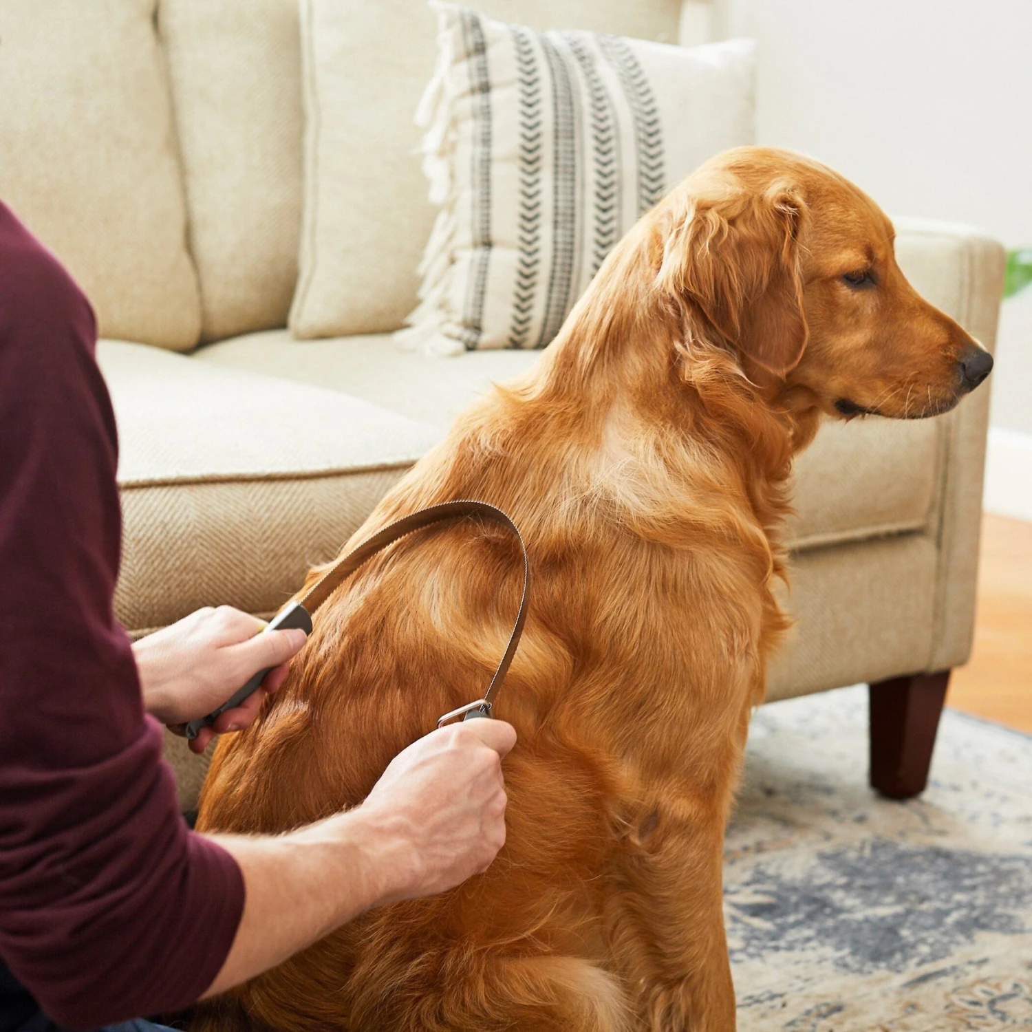 Frisco Shedding Blade Dog Brush, One Size - Image 4