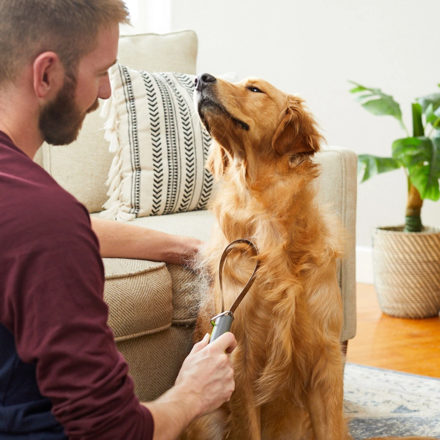 Frisco Shedding Blade Dog Brush, One Size - Image 5