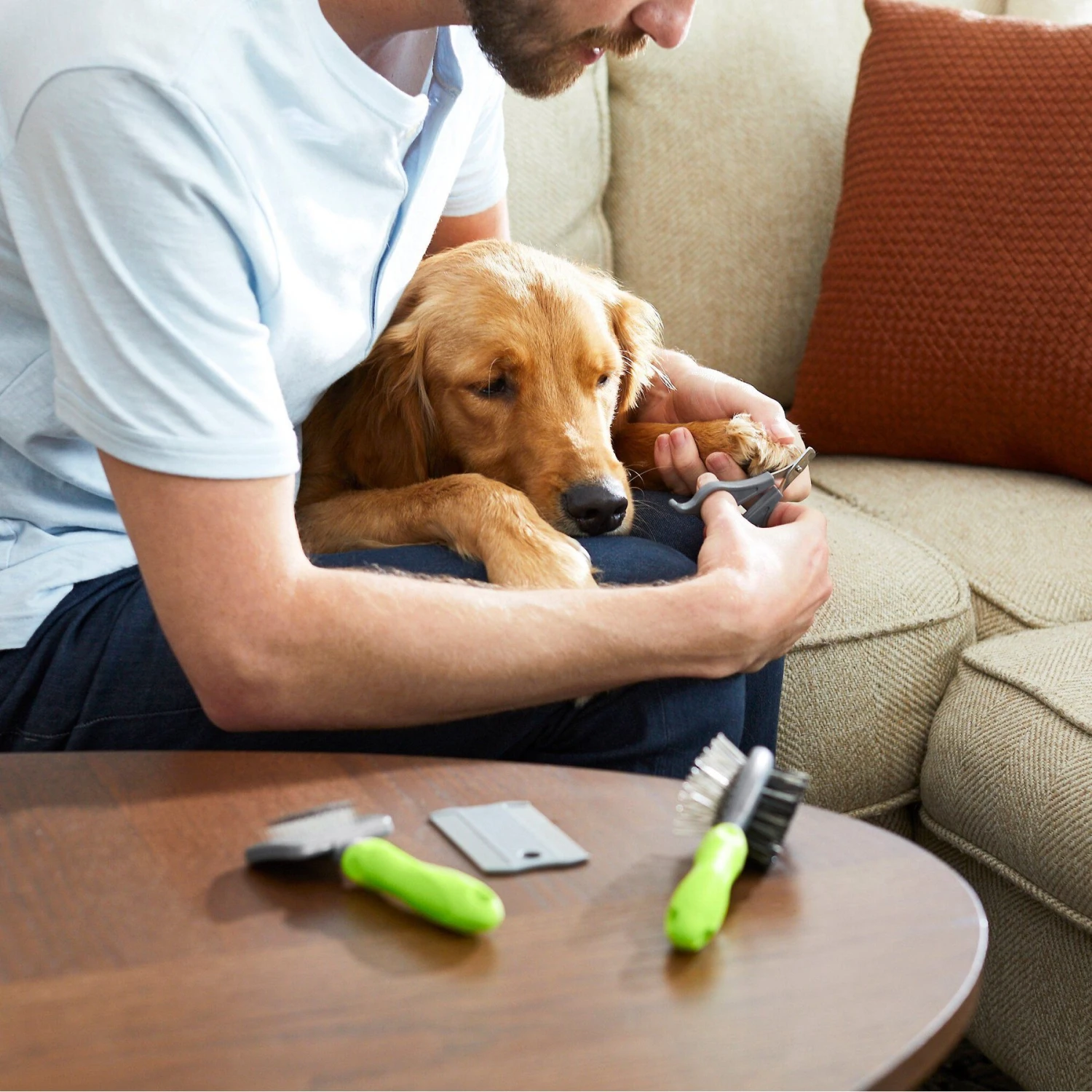 Frisco Beginner Grooming Kit For Dogs And Cats - Image 8