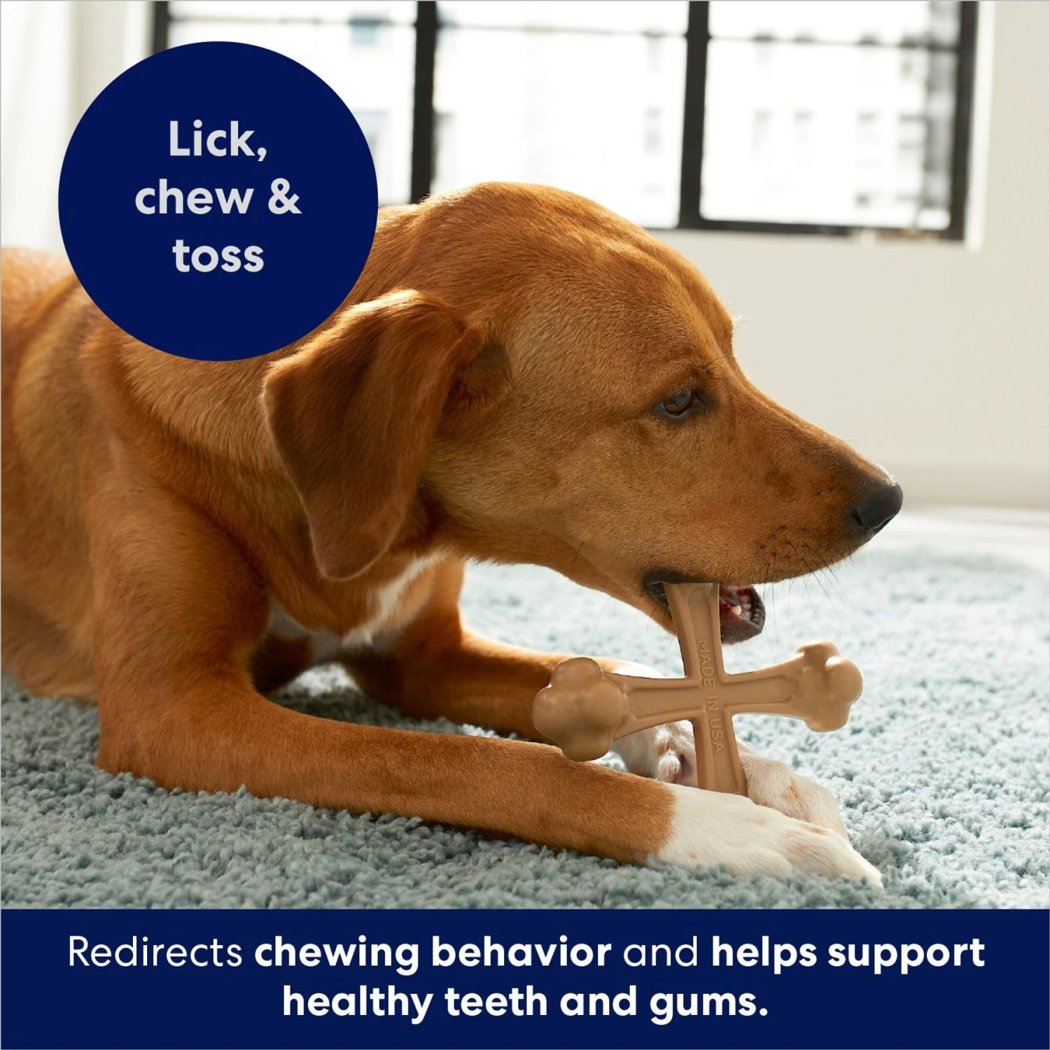 Frisco Peanut Butter Flavor Tough Nylon Dog Chew Toy - Image 5