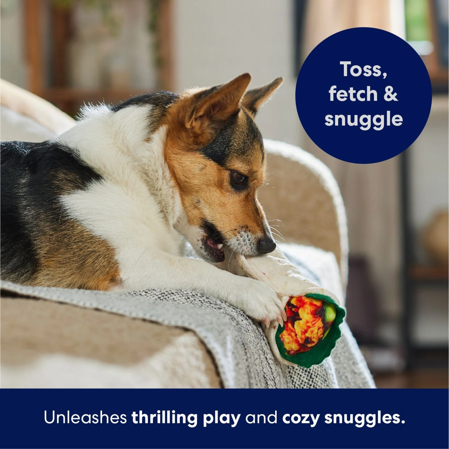 Frisco Burrito Plush Squeaky Dog Toy - Image 5