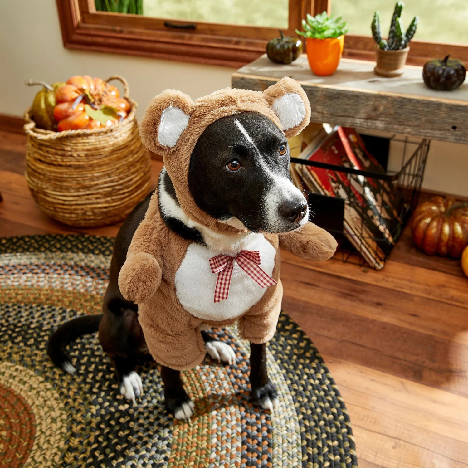 Frisco Front Walking Teddy Bear Dog & Cat Costume - Image 8