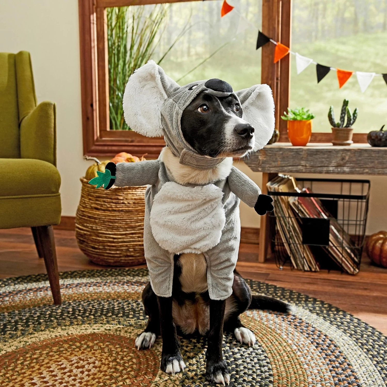 Frisco Front Walking Koala Dog & Cat Costume - Image 6