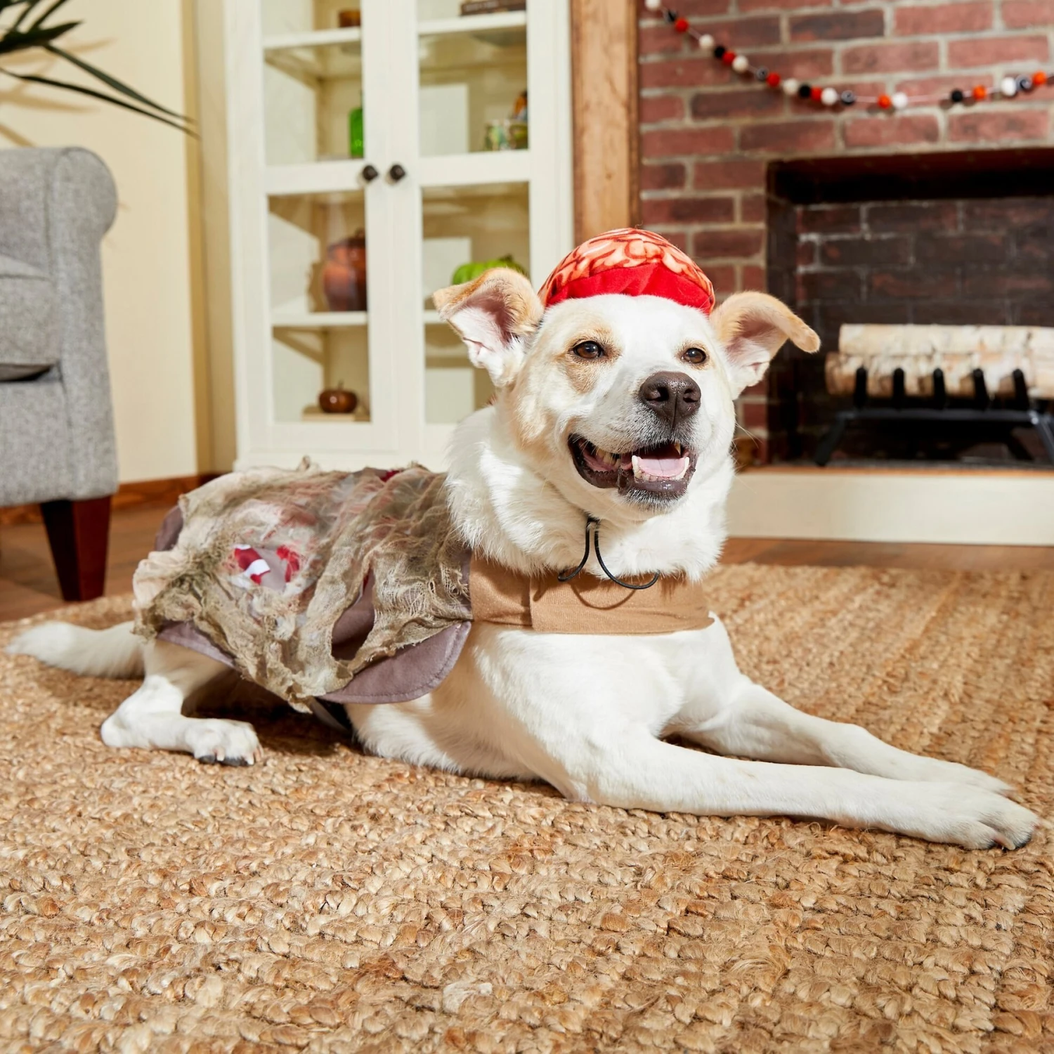 Frisco Zombie Dog & Cat Costume - Image 6