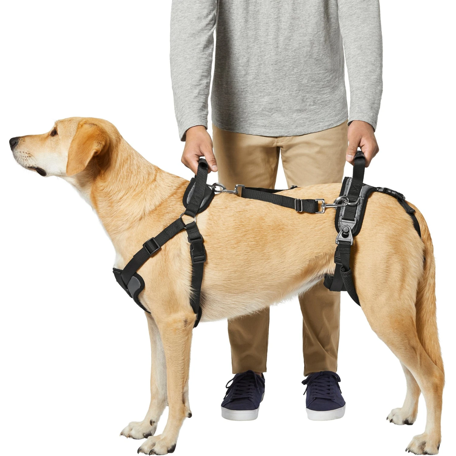 Frisco Front & Rear Lift Handicapped Support Dog Harness - Image 4