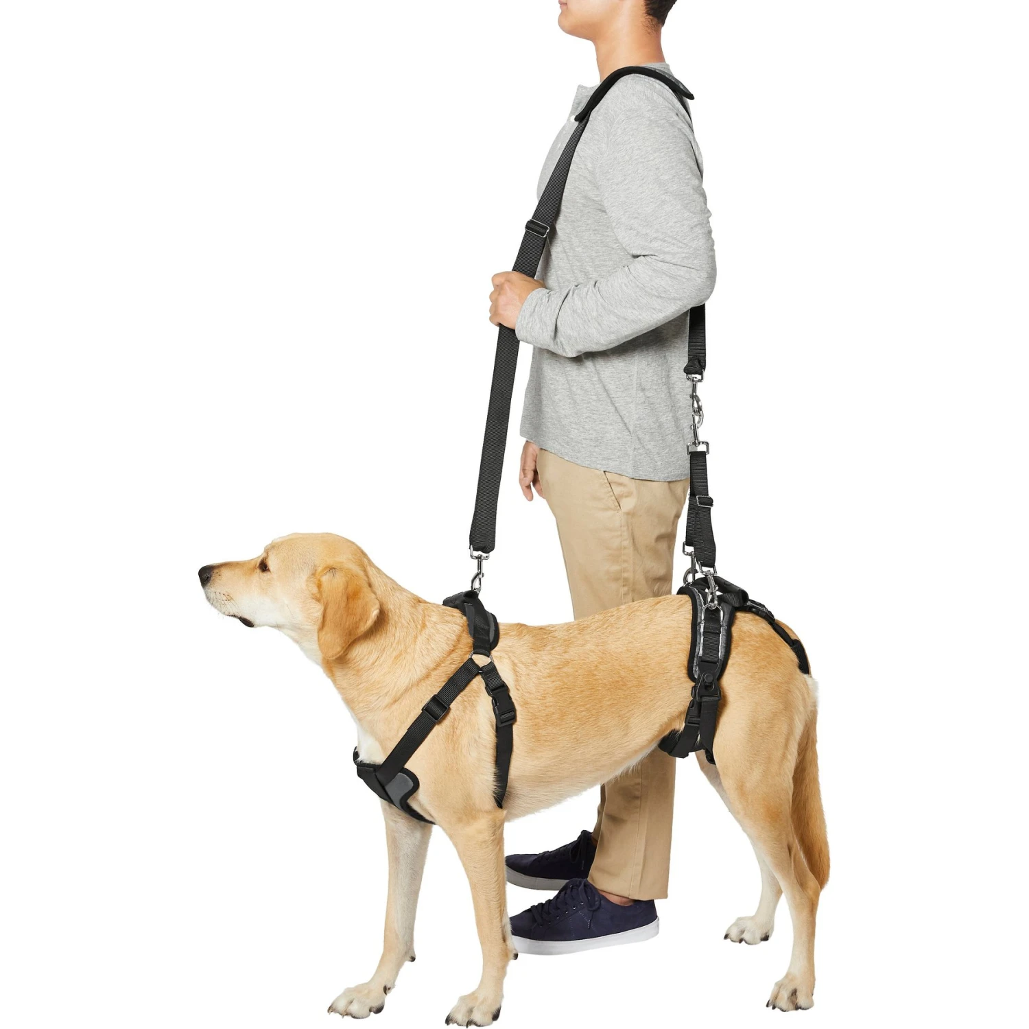 Frisco Front & Rear Lift Handicapped Support Dog Harness - Image 5