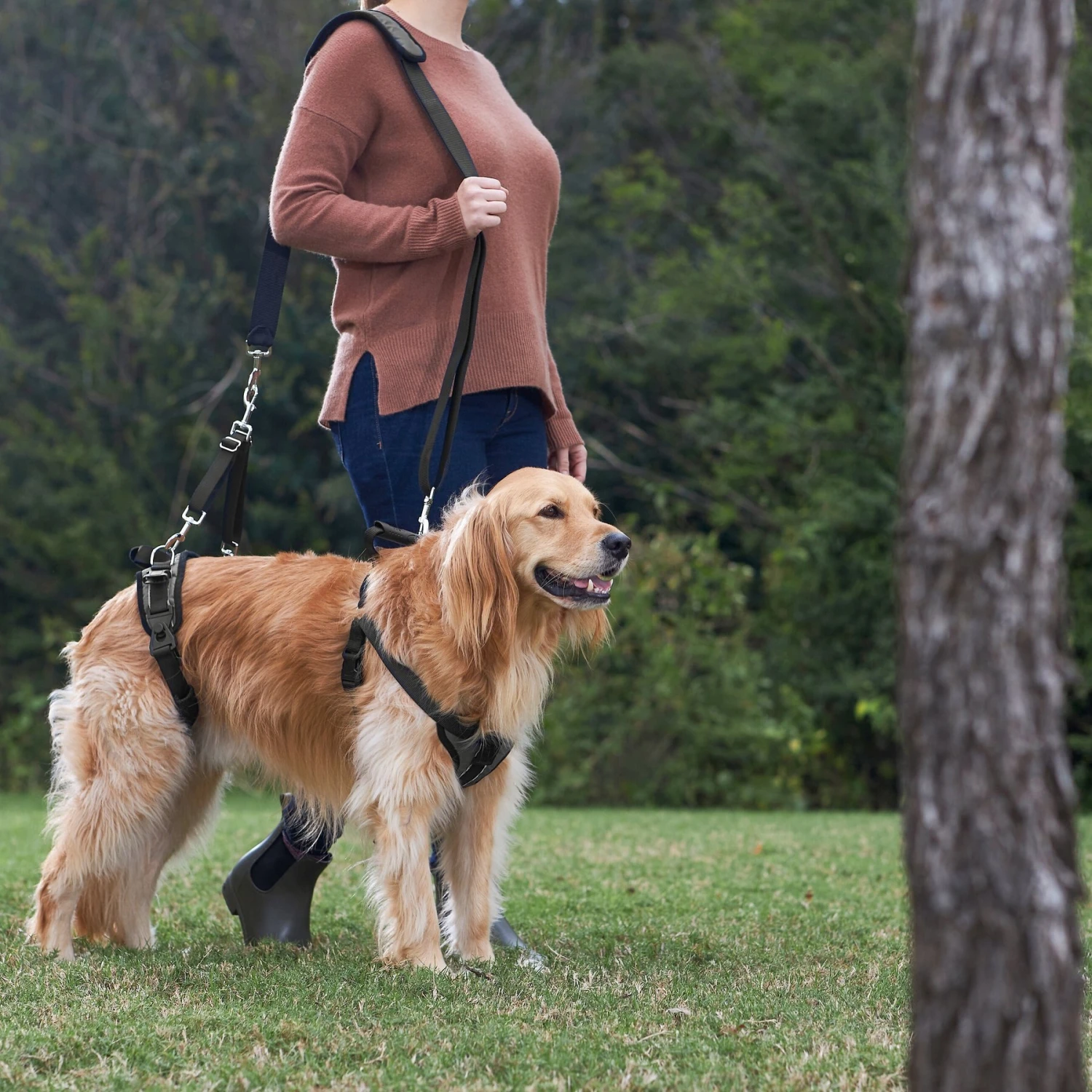 Frisco Front & Rear Lift Handicapped Support Dog Harness - Image 6