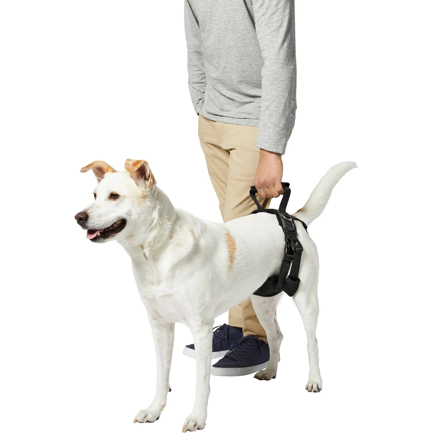 Frisco Rear Lift Handicapped Support Dog Harness - Image 5