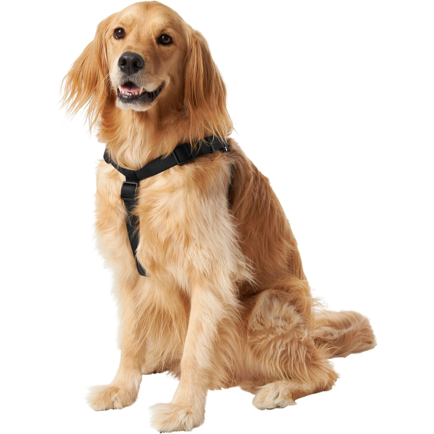 Frisco Nylon Step In Back Clip Dog Harness - Image 3