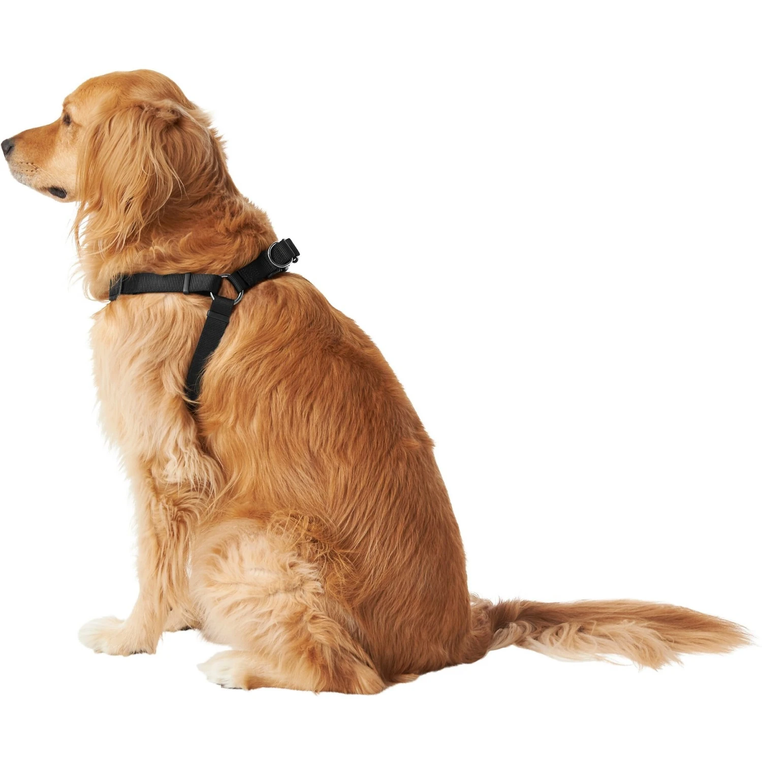 Frisco Nylon Step In Back Clip Dog Harness - Image 4