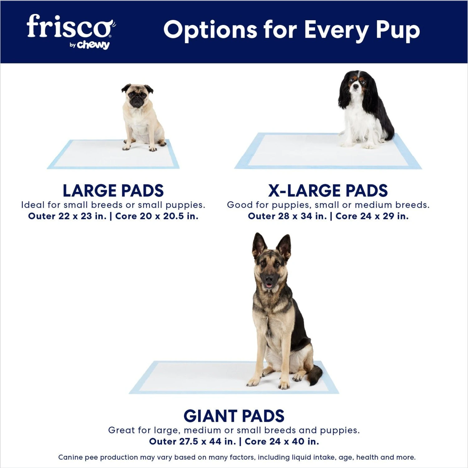 Frisco Extra Large Non-Skid Ultra Premium Dog Training & Potty Pads - Image 4
