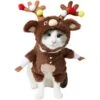 Frisco Front Walking Reindeer Dog & Cat Costume, 1 Count