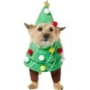 Frisco Front Walking Christmas Tree Dog & Cat Costume