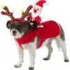 Frisco Santa Rider Dog & Cat Costume