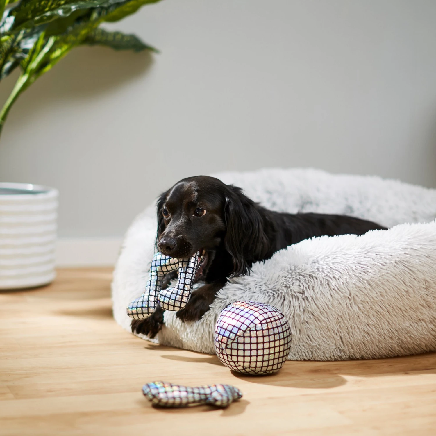 Frisco Retro Plush Squeaky Disco Dog Toy - Image 3