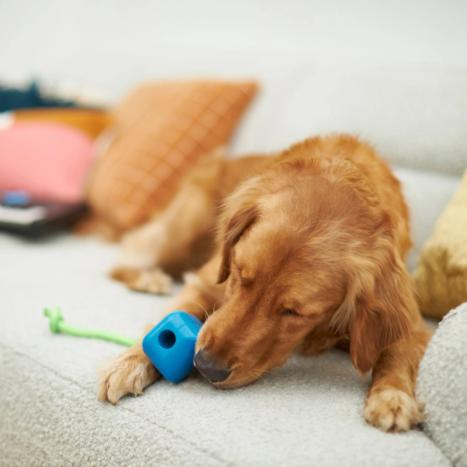 Frisco Retro PC Mouse Rubber Tug & Fetch Dog Toy - Image 3