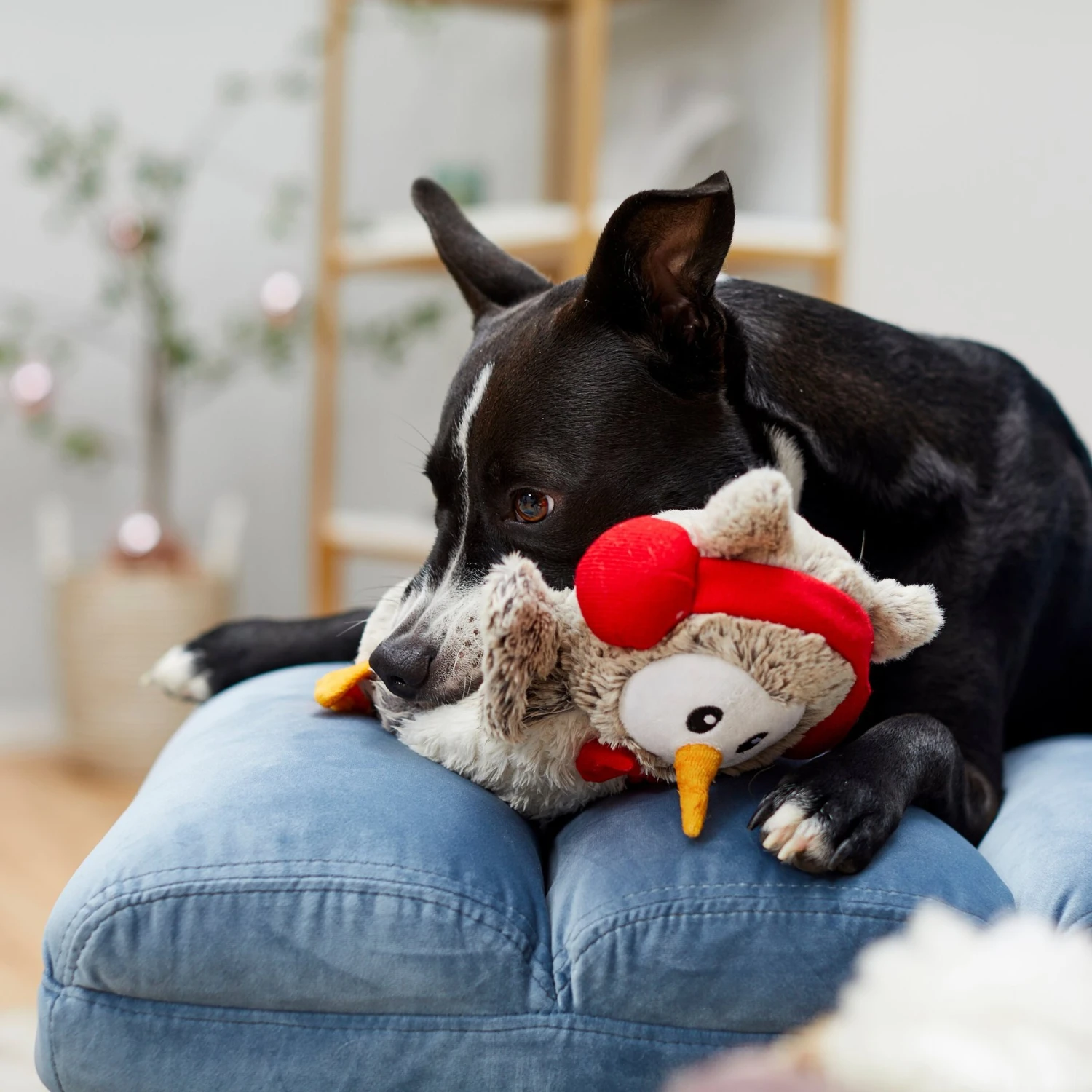 Frisco Holiday Owl Plush Squeaky Dog Toy - Image 3