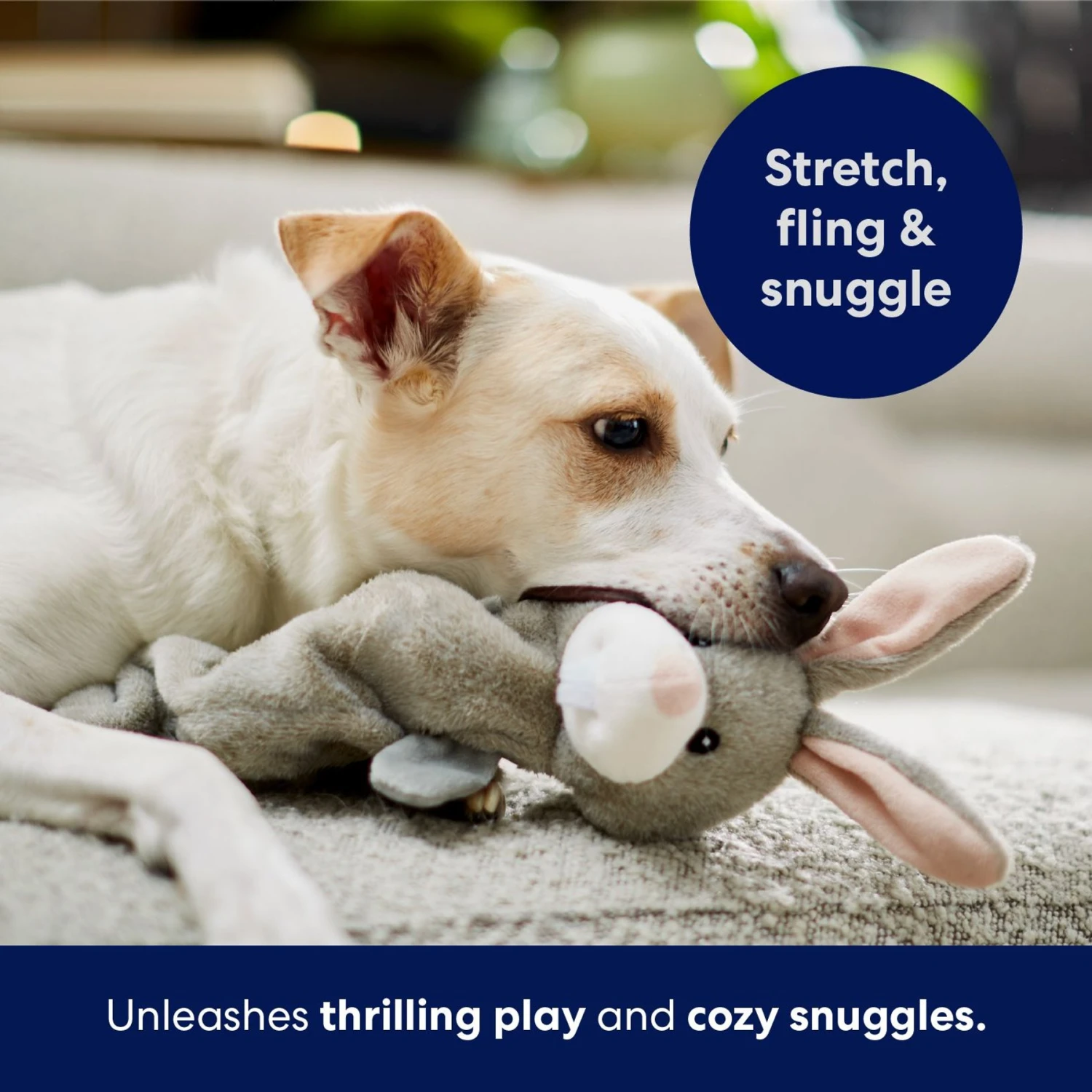 Frisco Bunny Bungee Plush Squeaky Dog Toy - Image 5