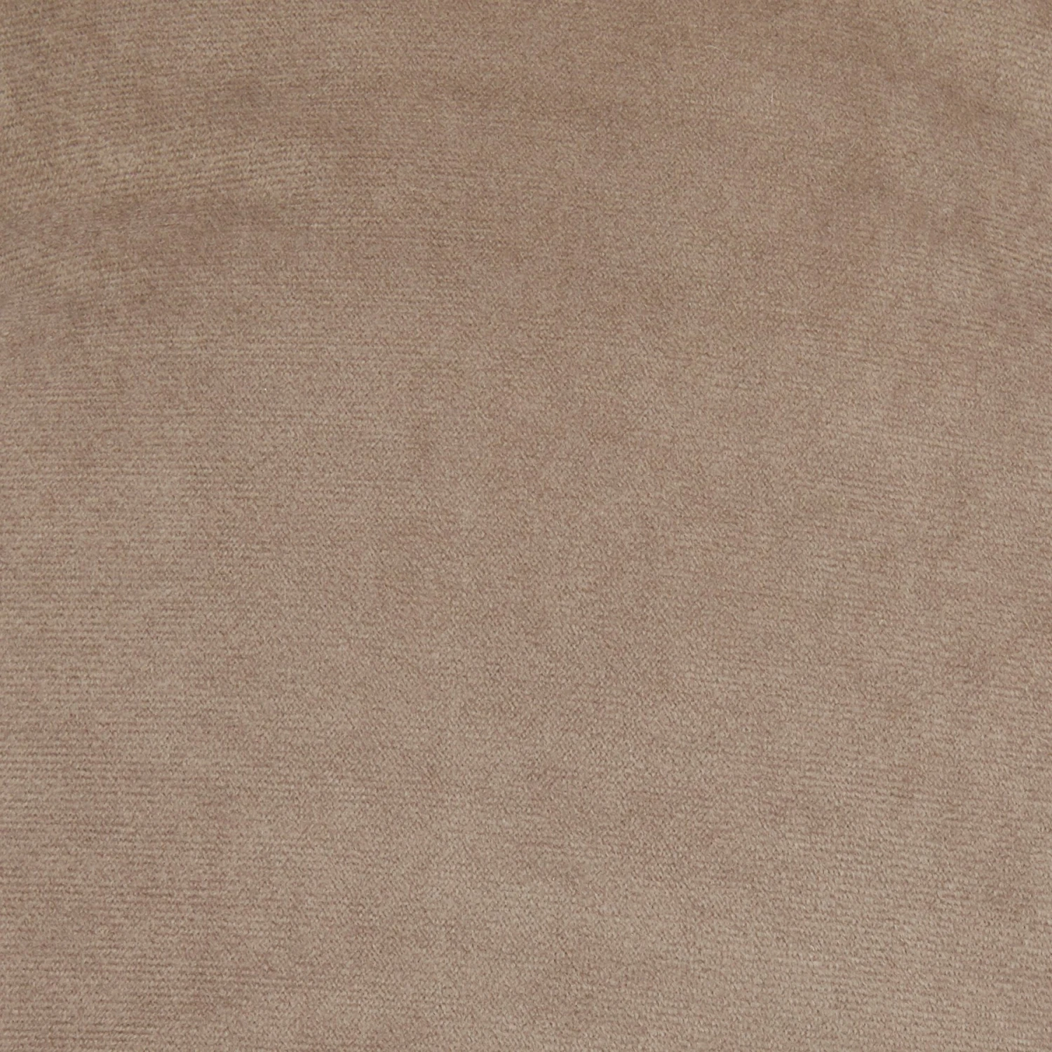 Frisco Rectangular Personalized Bolster Dog Bed W/Removable Cover, Beige, Large - Image 6