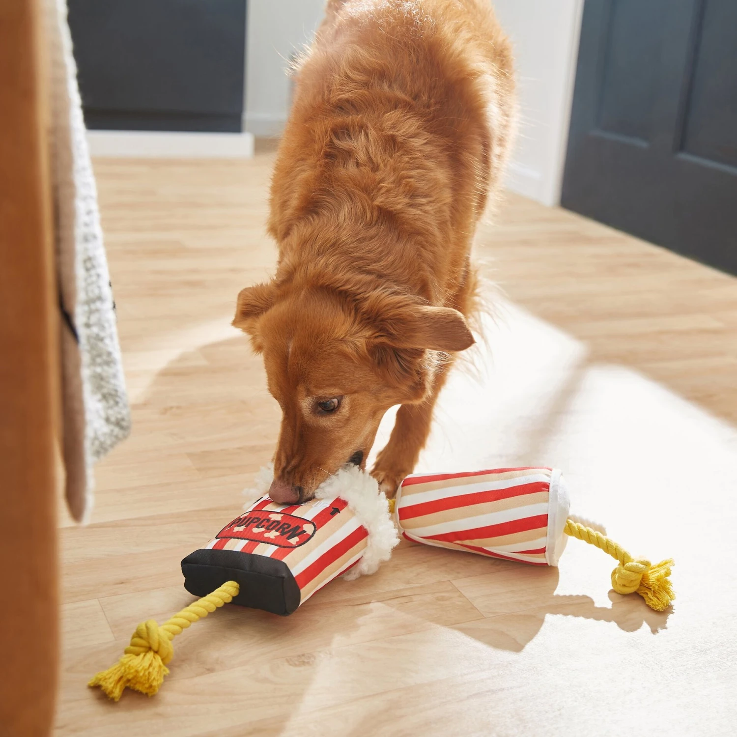 Frisco Zoomies & Chill Theatre Snacks Rope With Plush Squeaky Dog Toy - Image 3