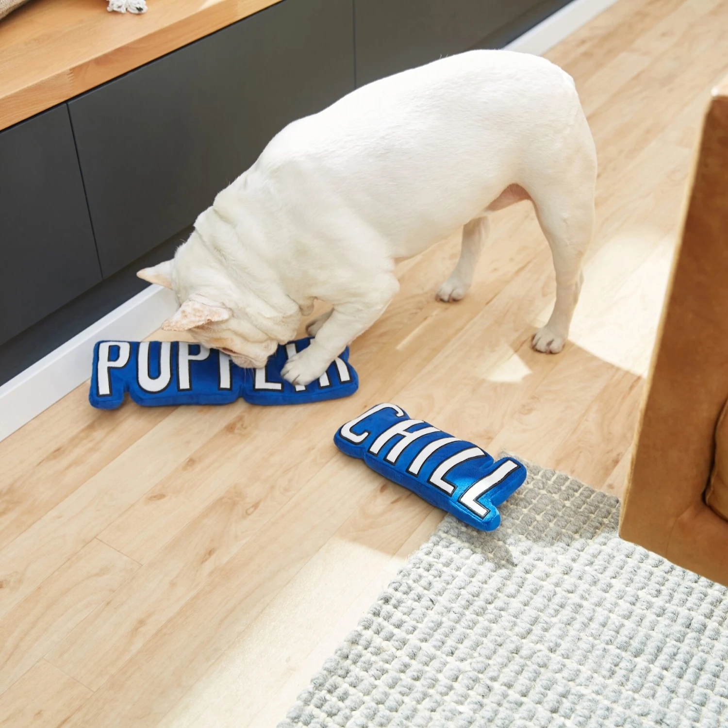 Frisco Zoomies & Chill Pupflix & Chill Plush Squeaky Dog Toy, 2 Count - Image 3