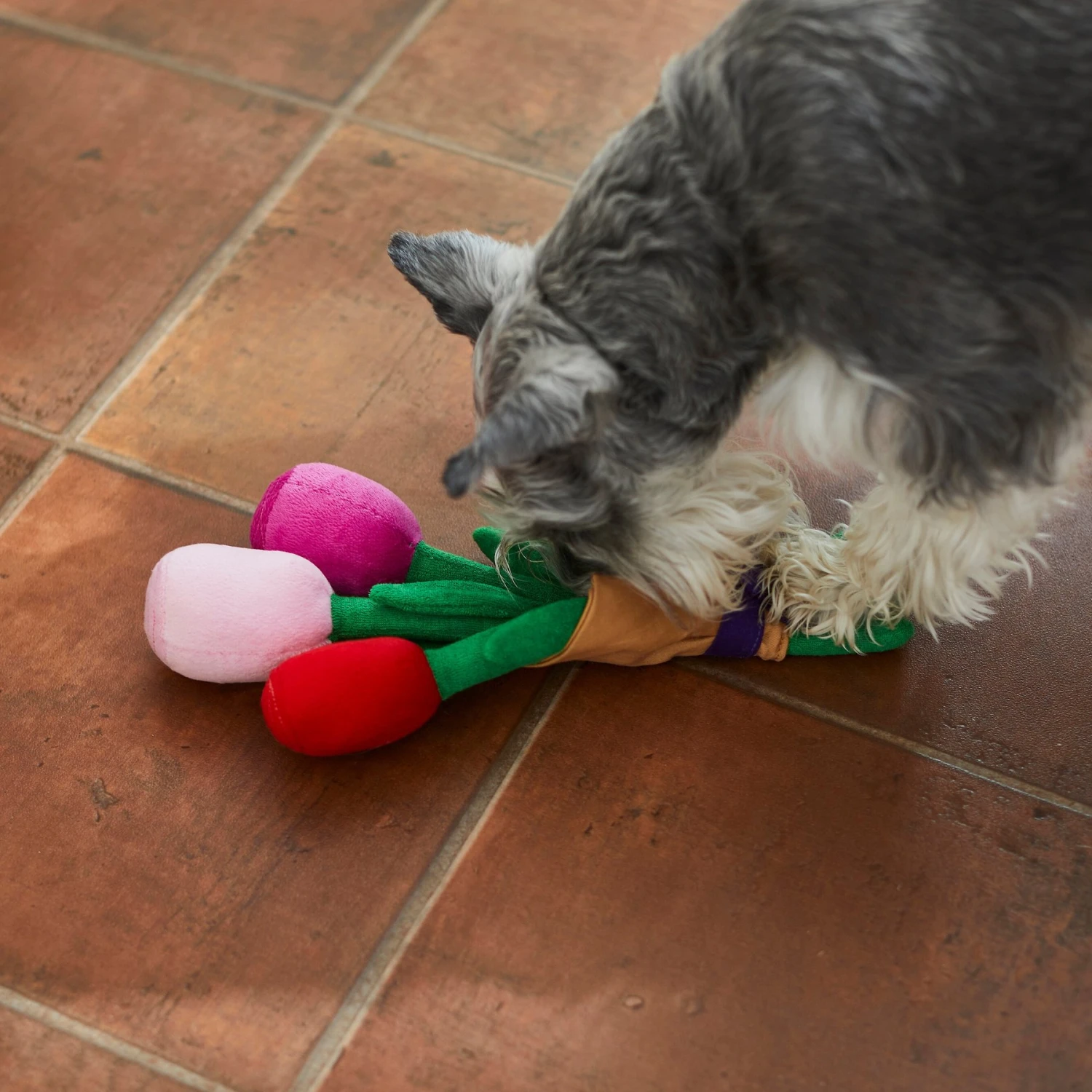 Frisco Valentine Rose Bouquet Plush Squeaky Dog Toy - Image 3