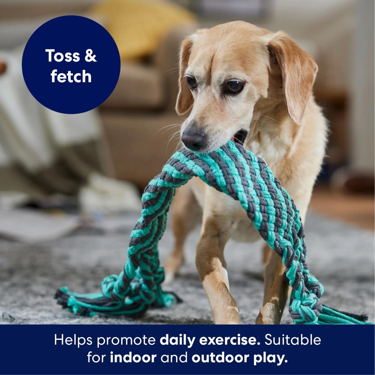 Frisco Flat Teal & Gray Braided Rope Squeaky Fetch Dog Toy - Image 4