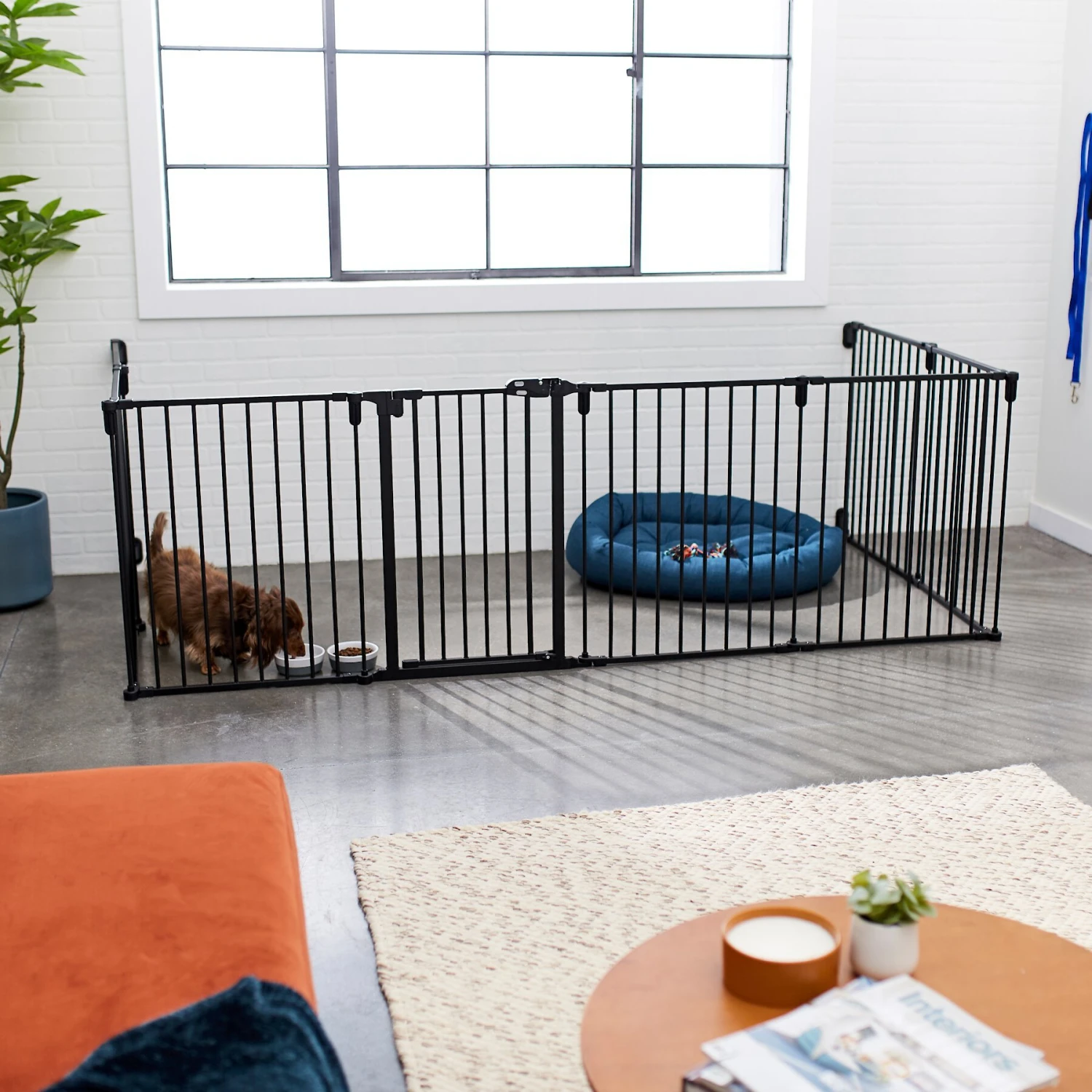 Frisco Steel 8-Panel Configurable Dog Gate & Playpen - Image 4