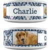 Frisco Boho Damask Ceramic Personalized Dog Bowl
