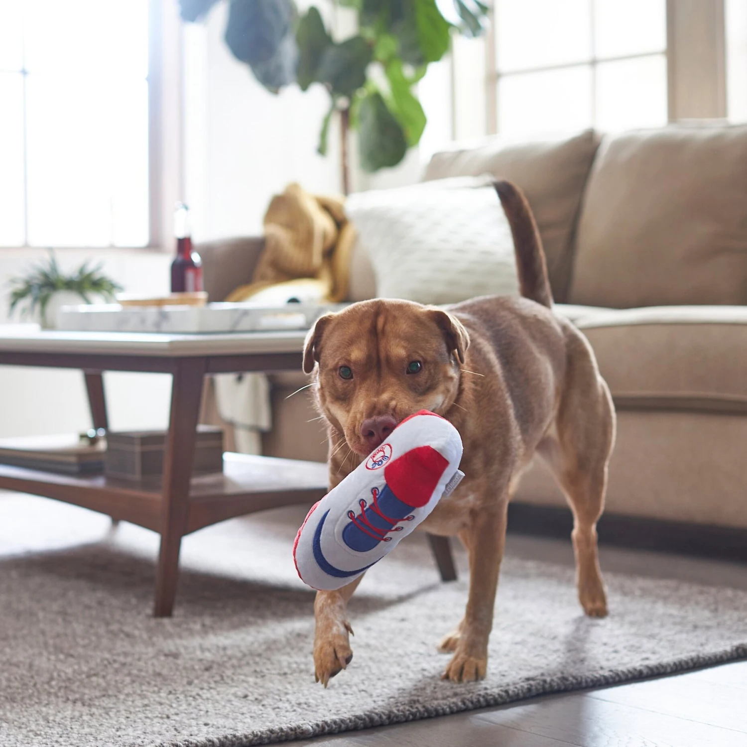 Frisco Baseball Cleat Latex Dog Toy - Image 3