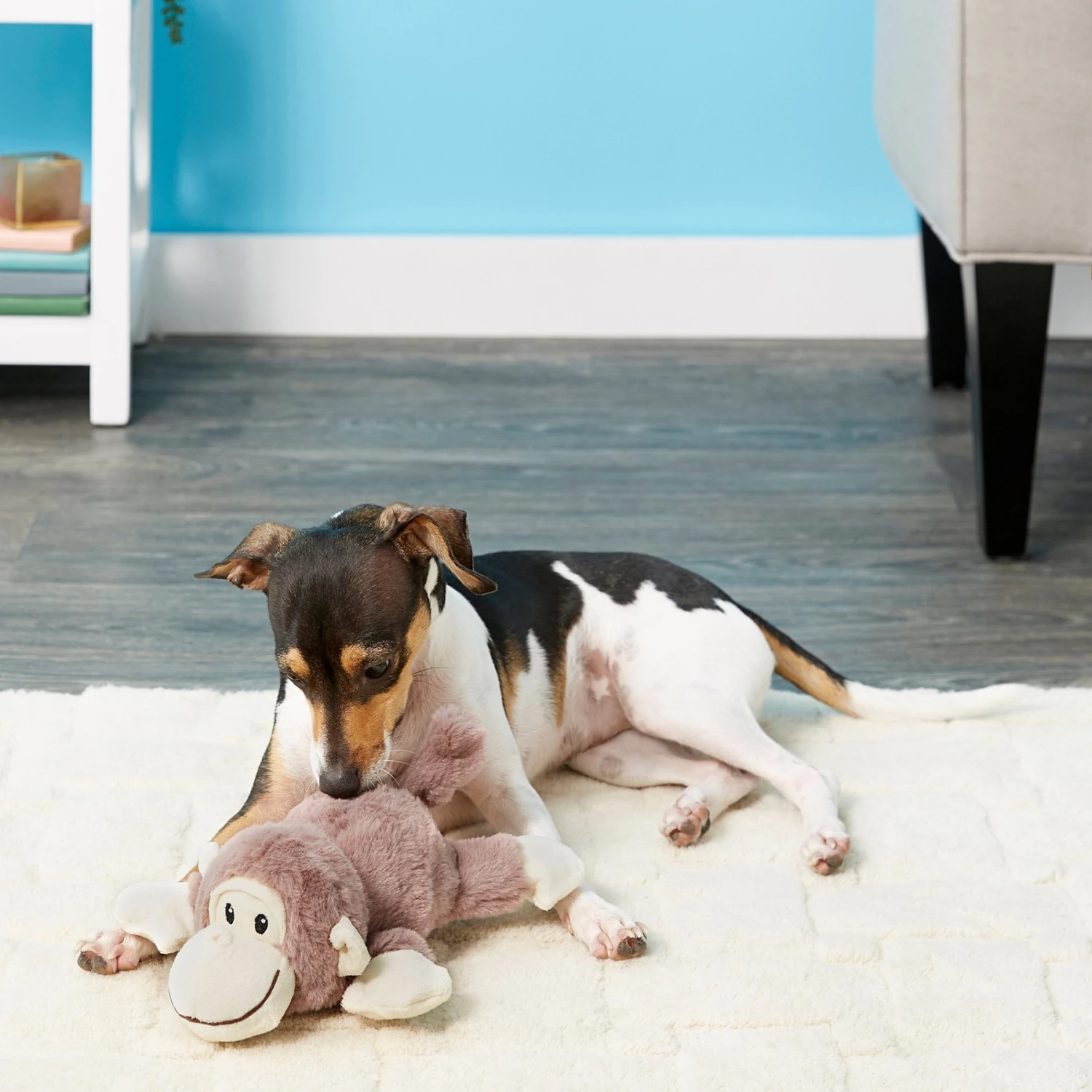 Frisco Monkey Plush Squeaky Dog Toy & Frisco Fox Plush Squeaky Dog Toy - Image 3