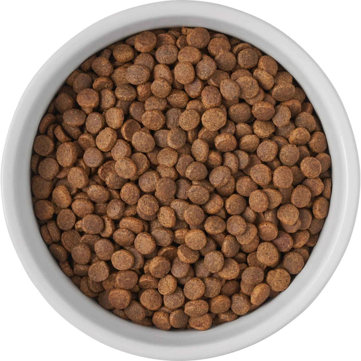 Frisco Bones Non-skid Ceramic Dog & Cat Bowl - Image 6